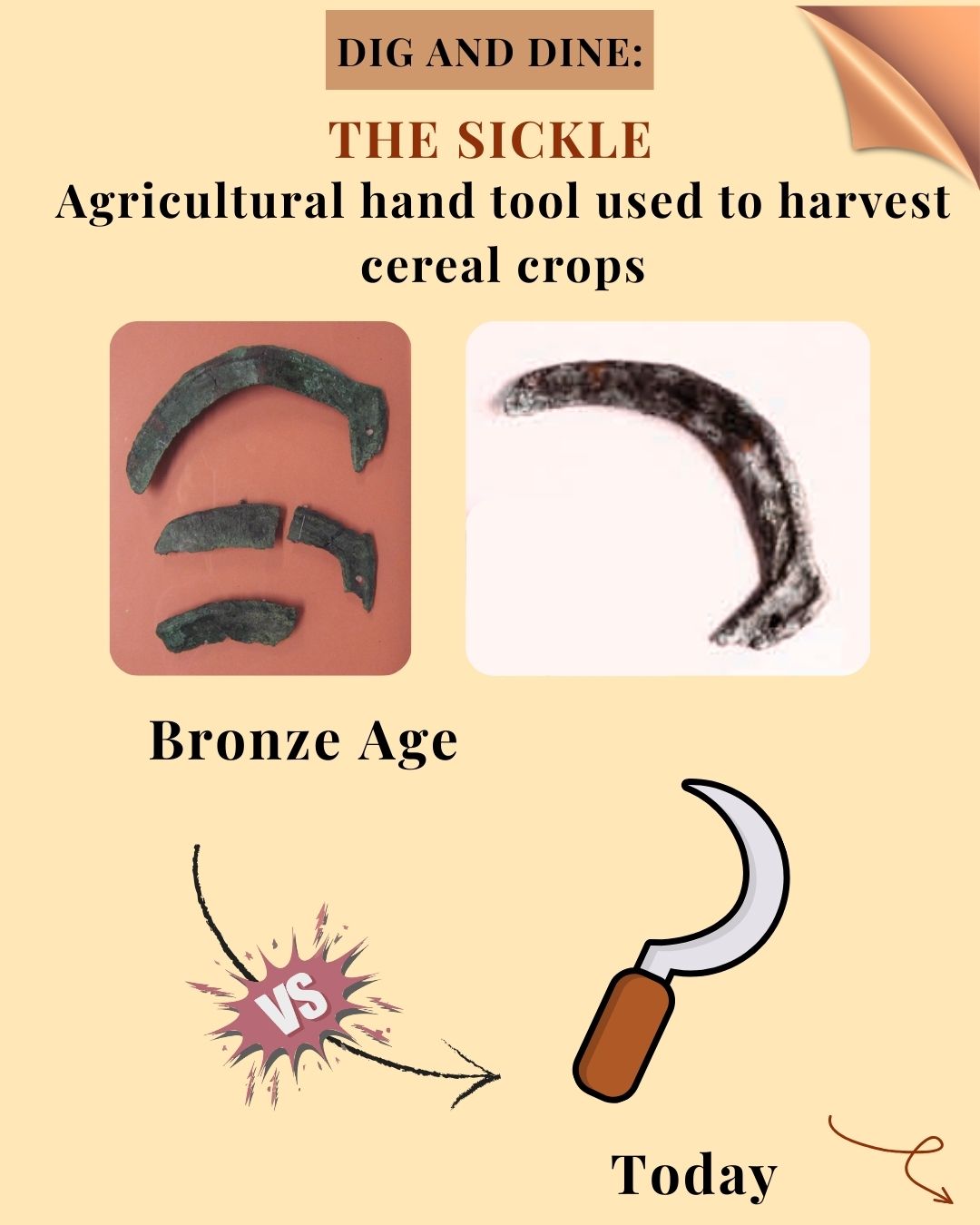 The sickle