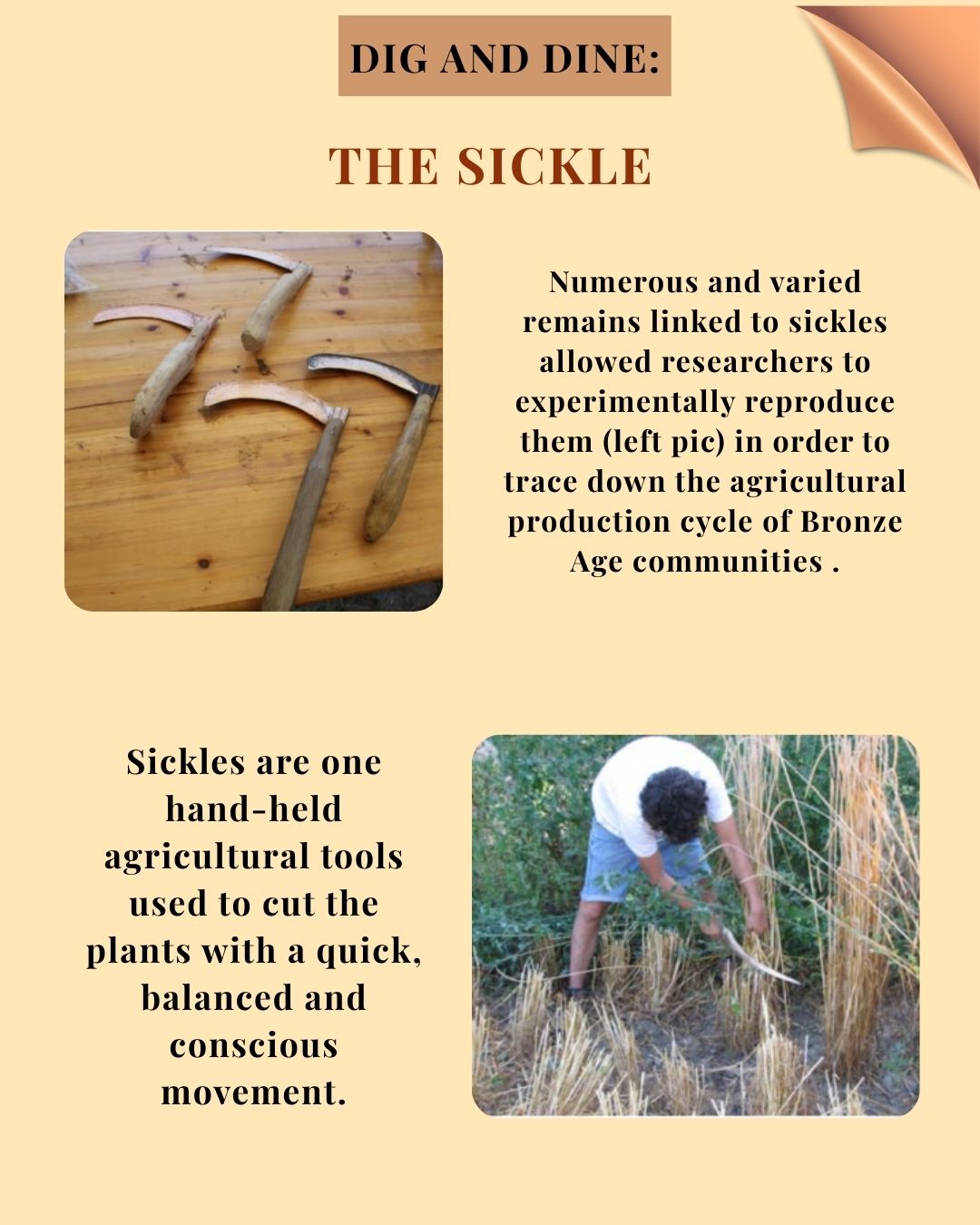 The sickle_2