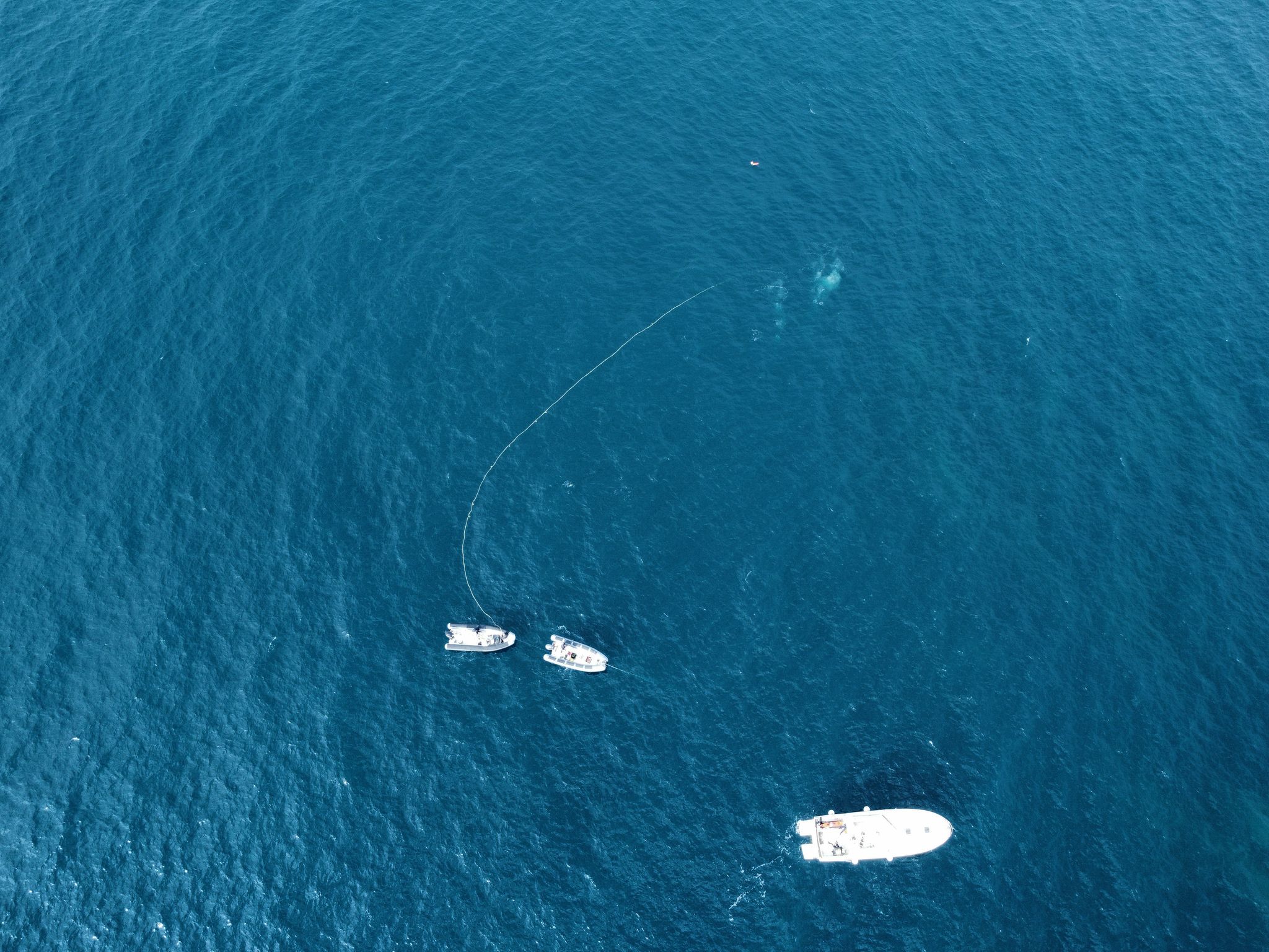 Marine Survey Operations in Costa Paradiso, Sardinia
