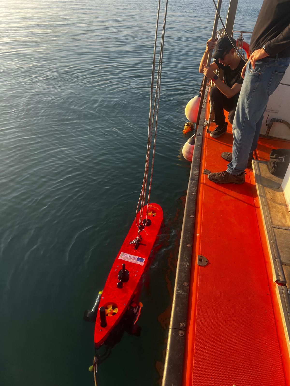 Blucy during the mission