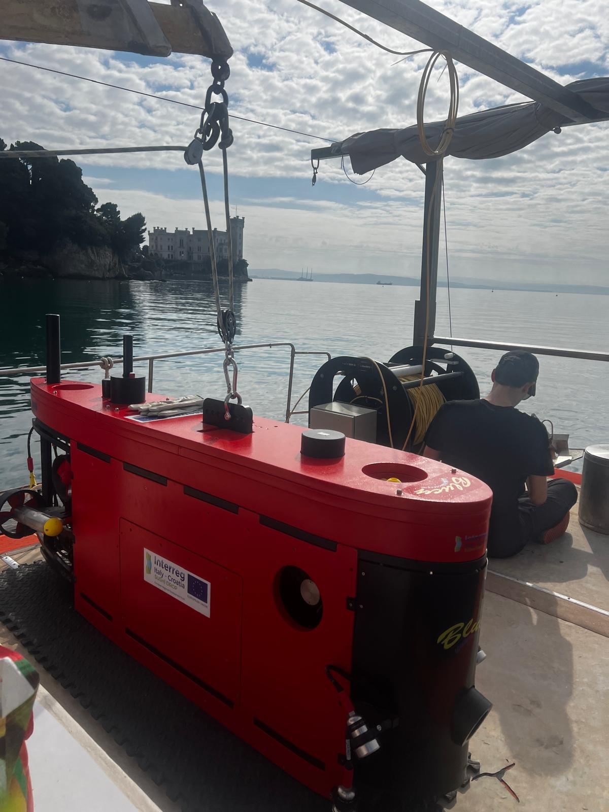 Blucy during the mission