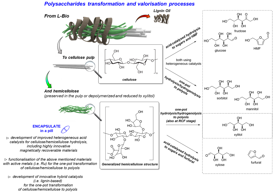 ENCAPSULATE chemical valorization of both CE and HE fractions.