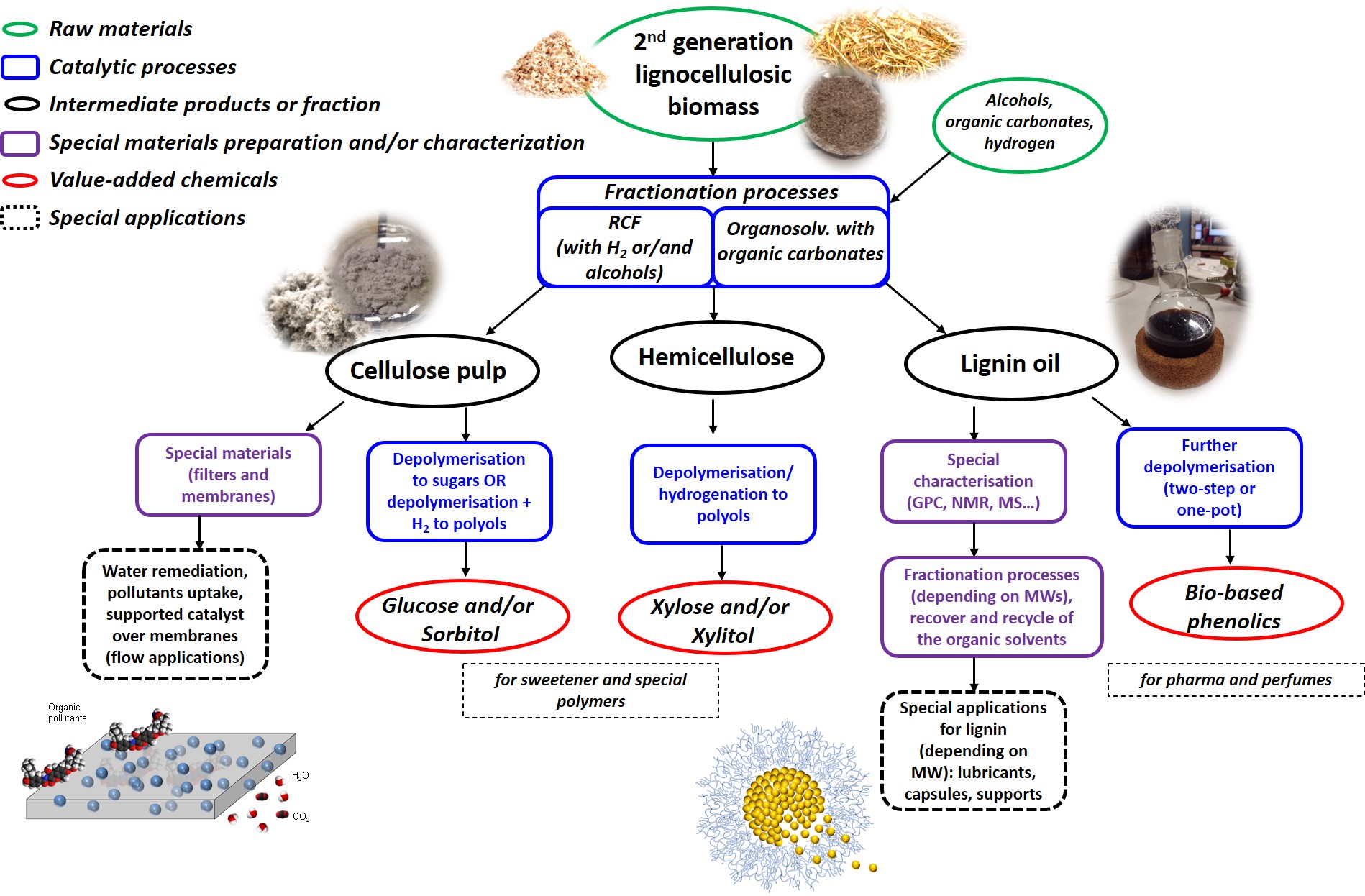 Schematic view of the processes under investigation in the ENCAPSULATE project.