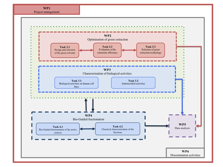 Work Breakdown Structure (WBS)