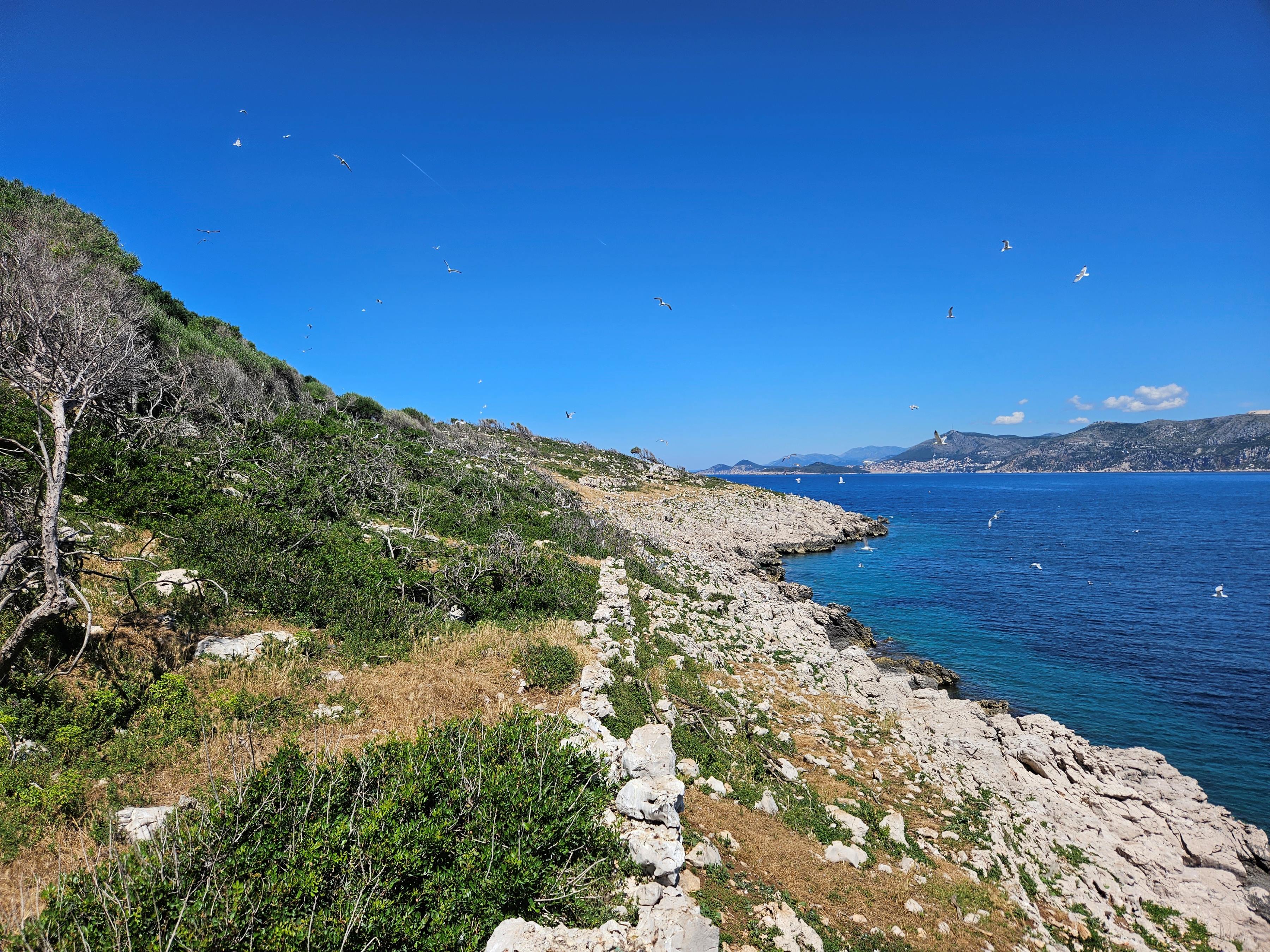 Landscape view from Bobara