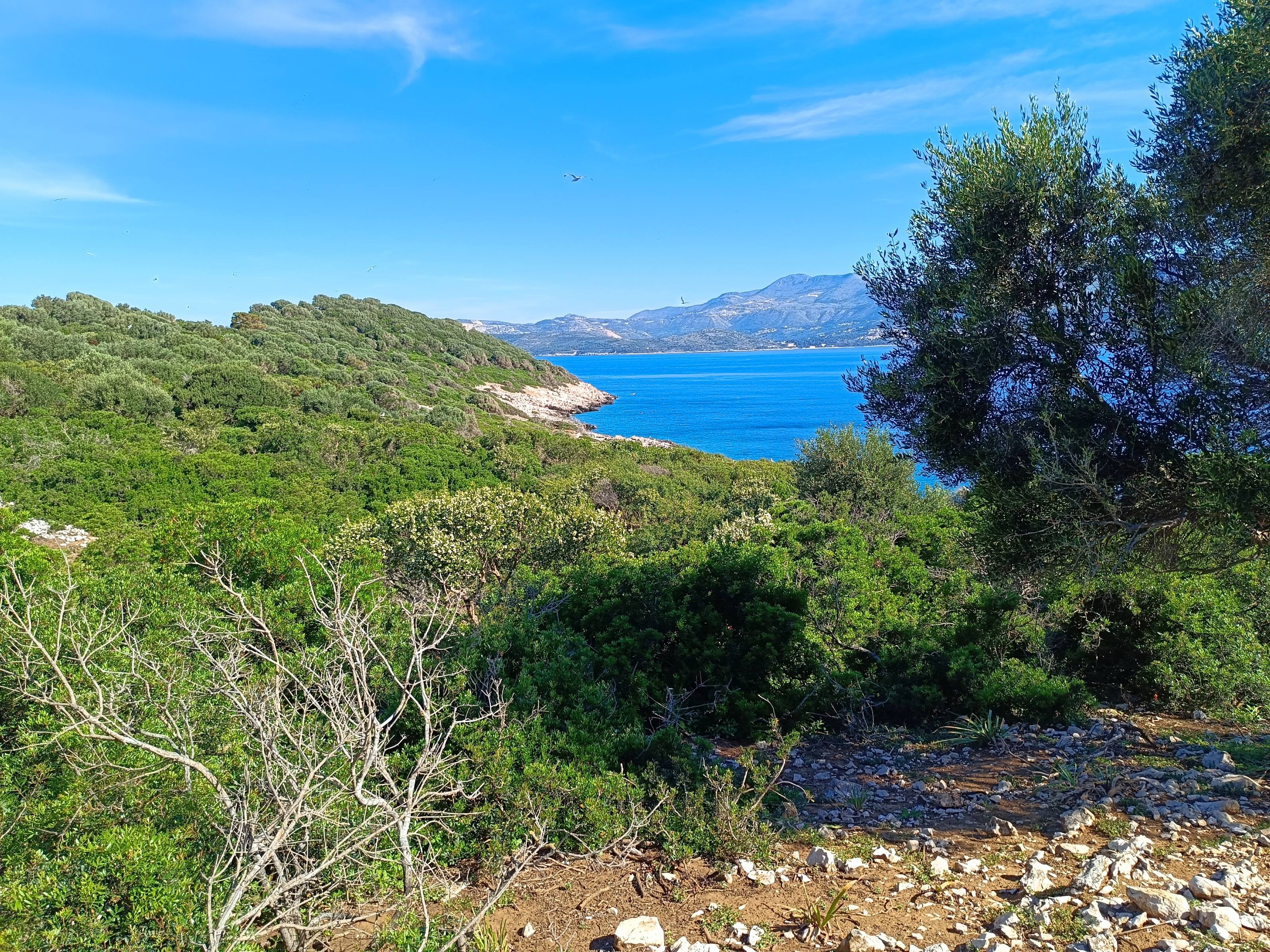 Landscape view from Mrkan