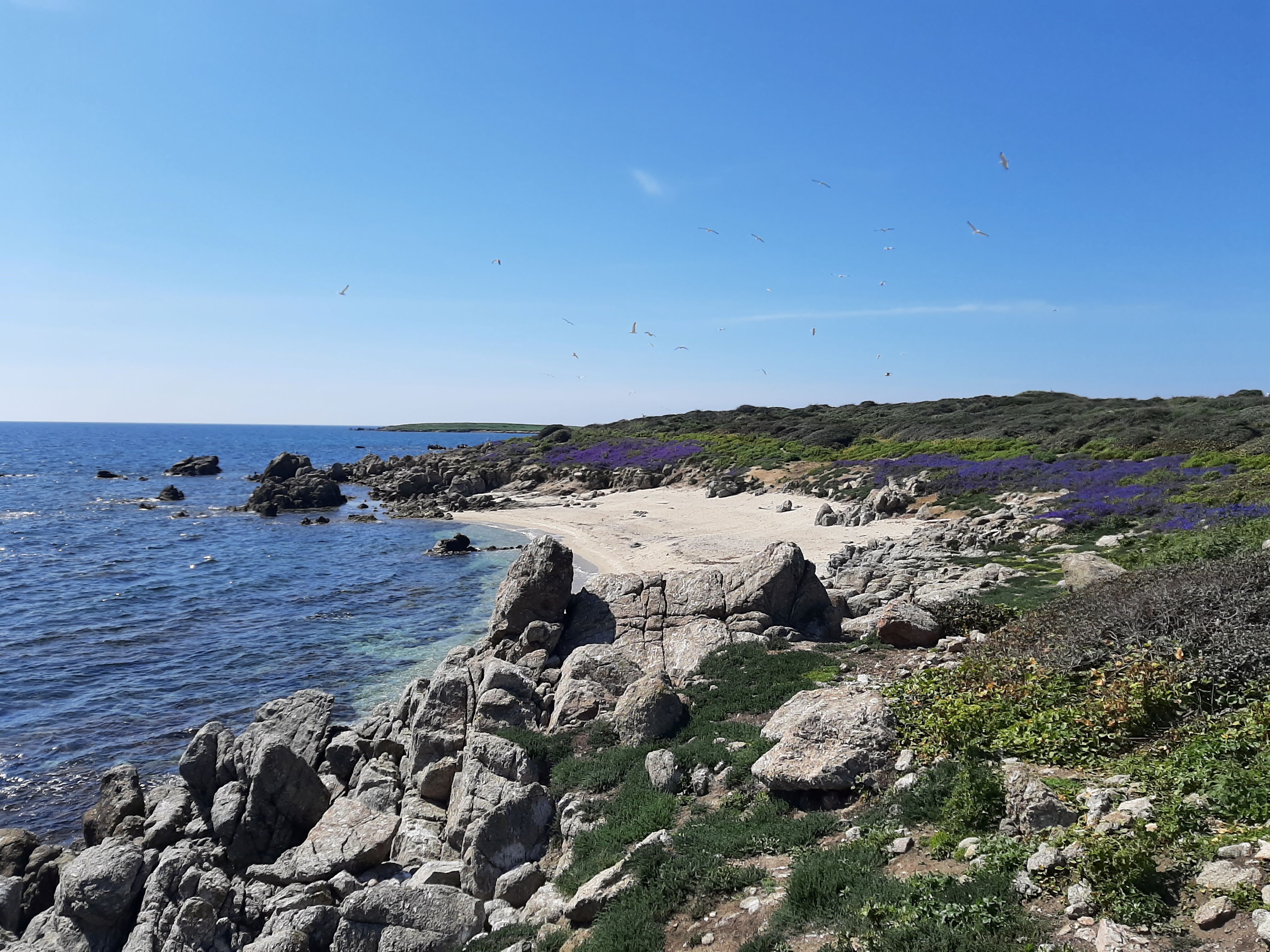 Mal di Ventre coastline