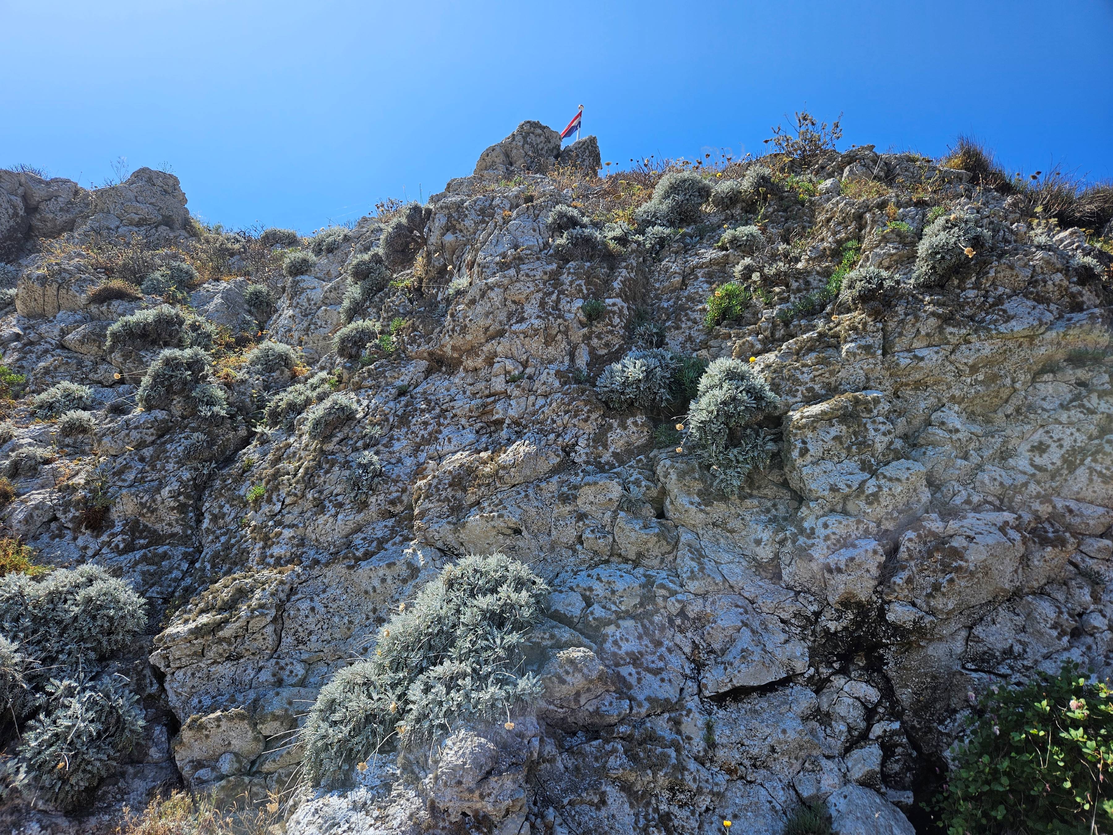 Outcrop view