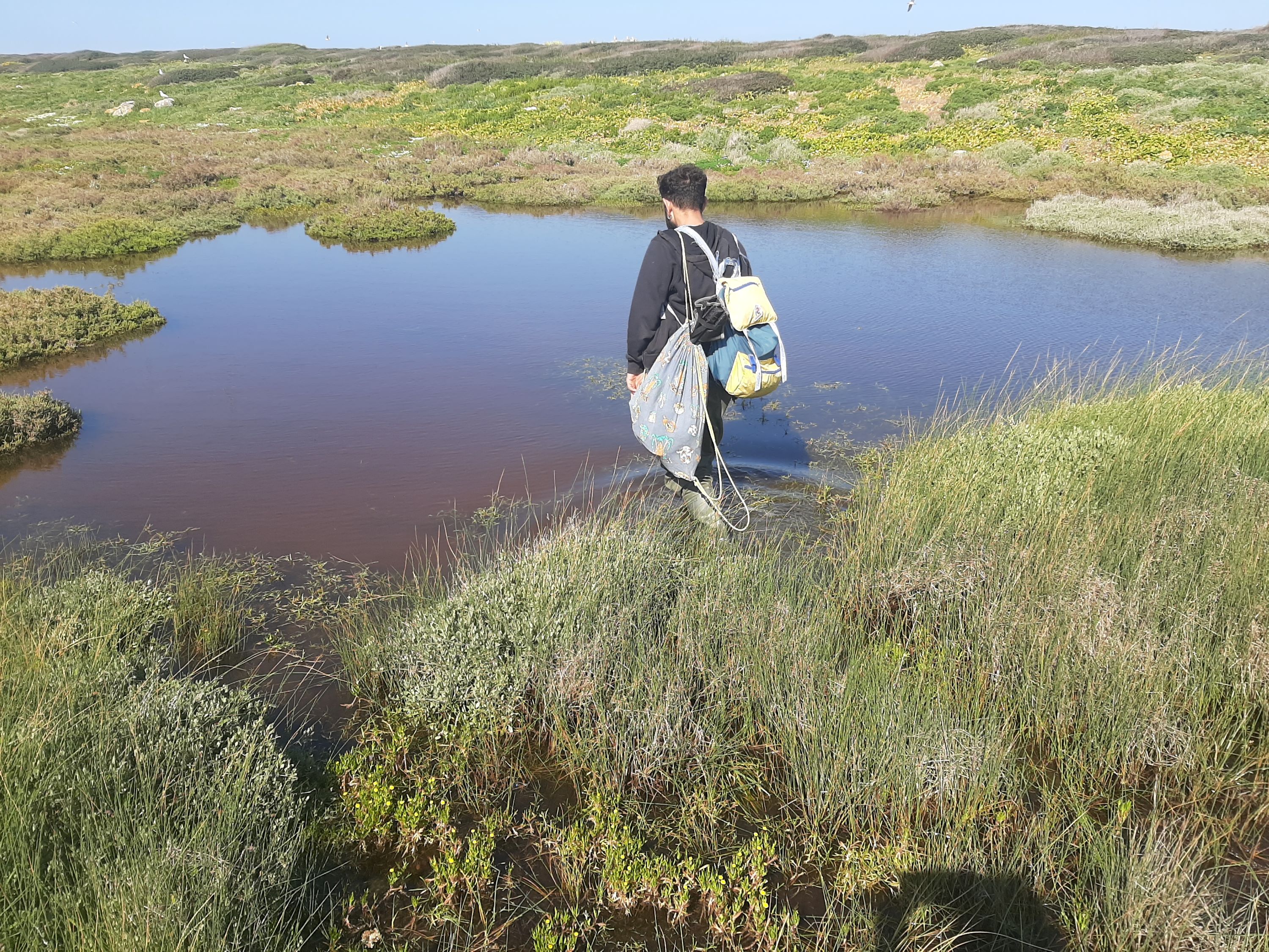 Pond in the island