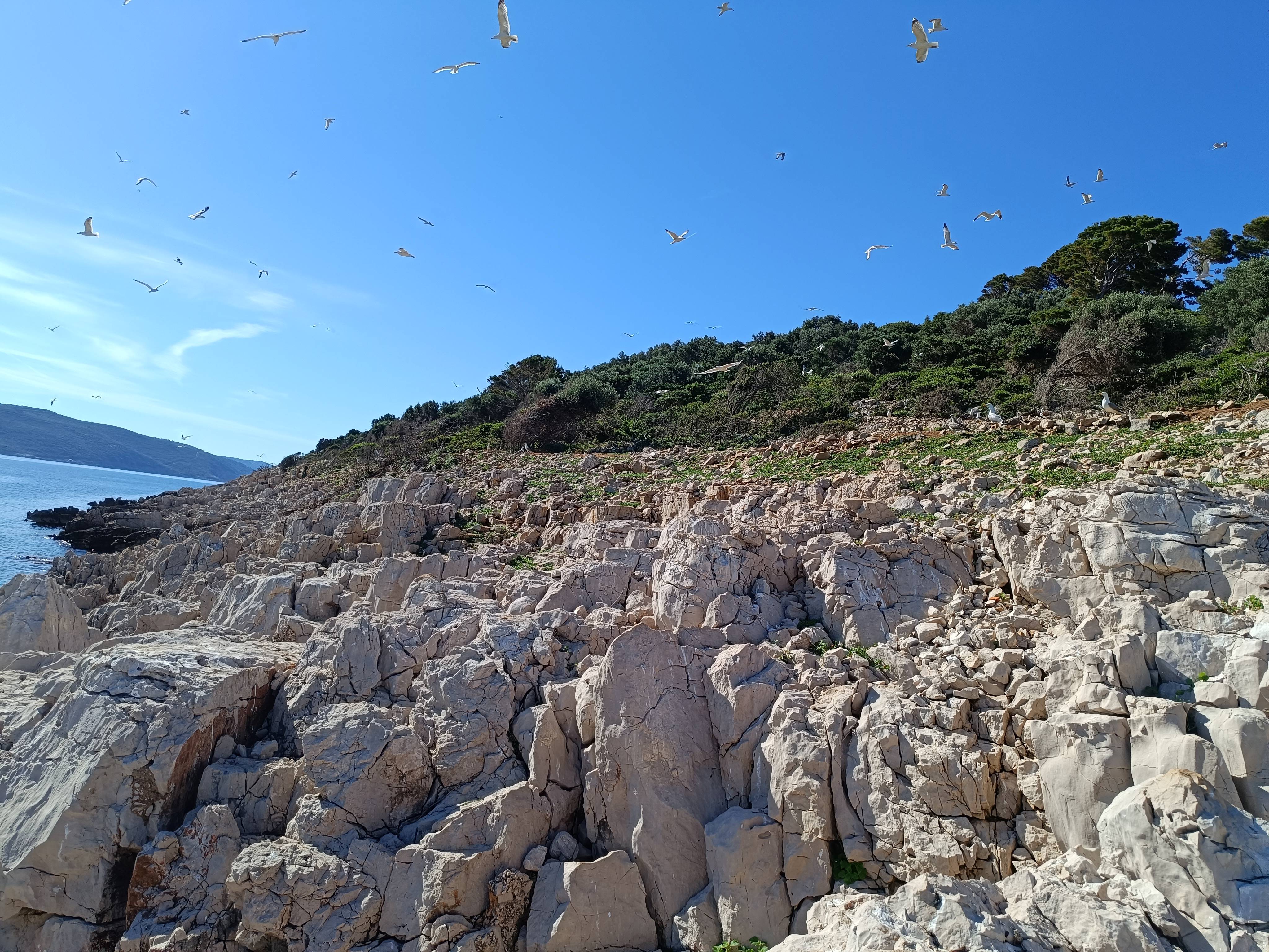 View of island rock bed