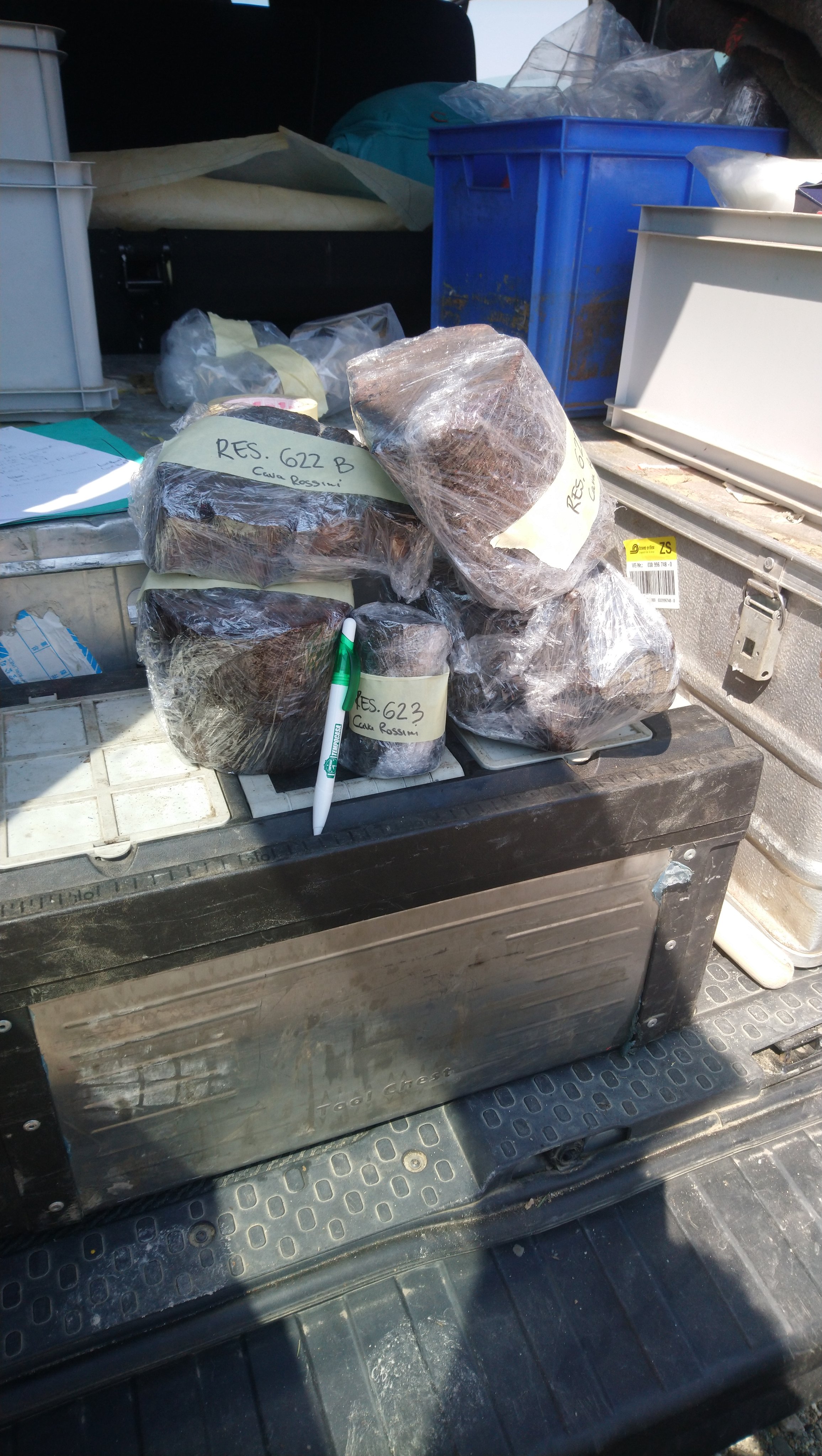 Field trip continues