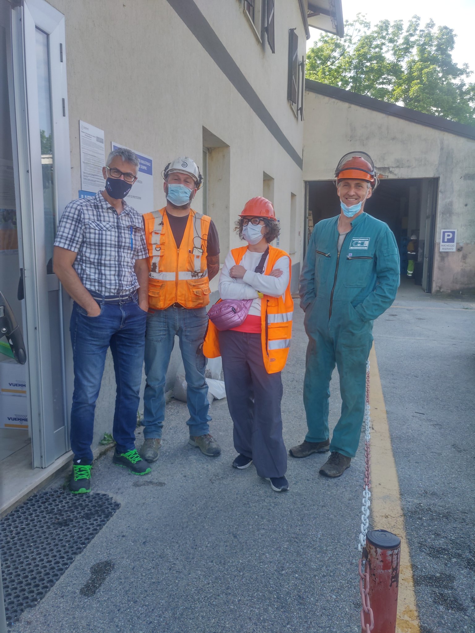 Last day of tree hunting