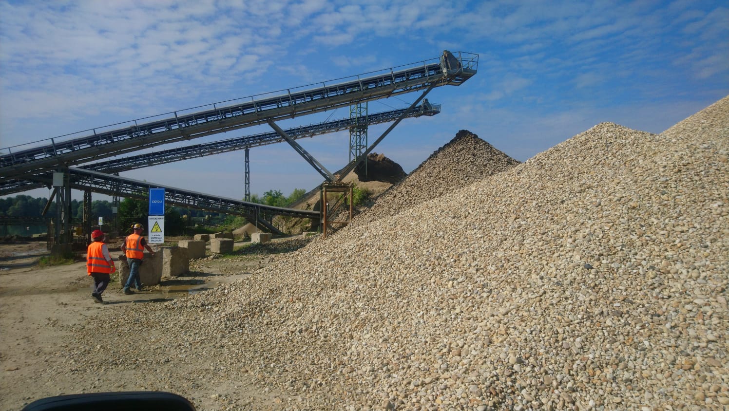 Last day of tree hunting_2