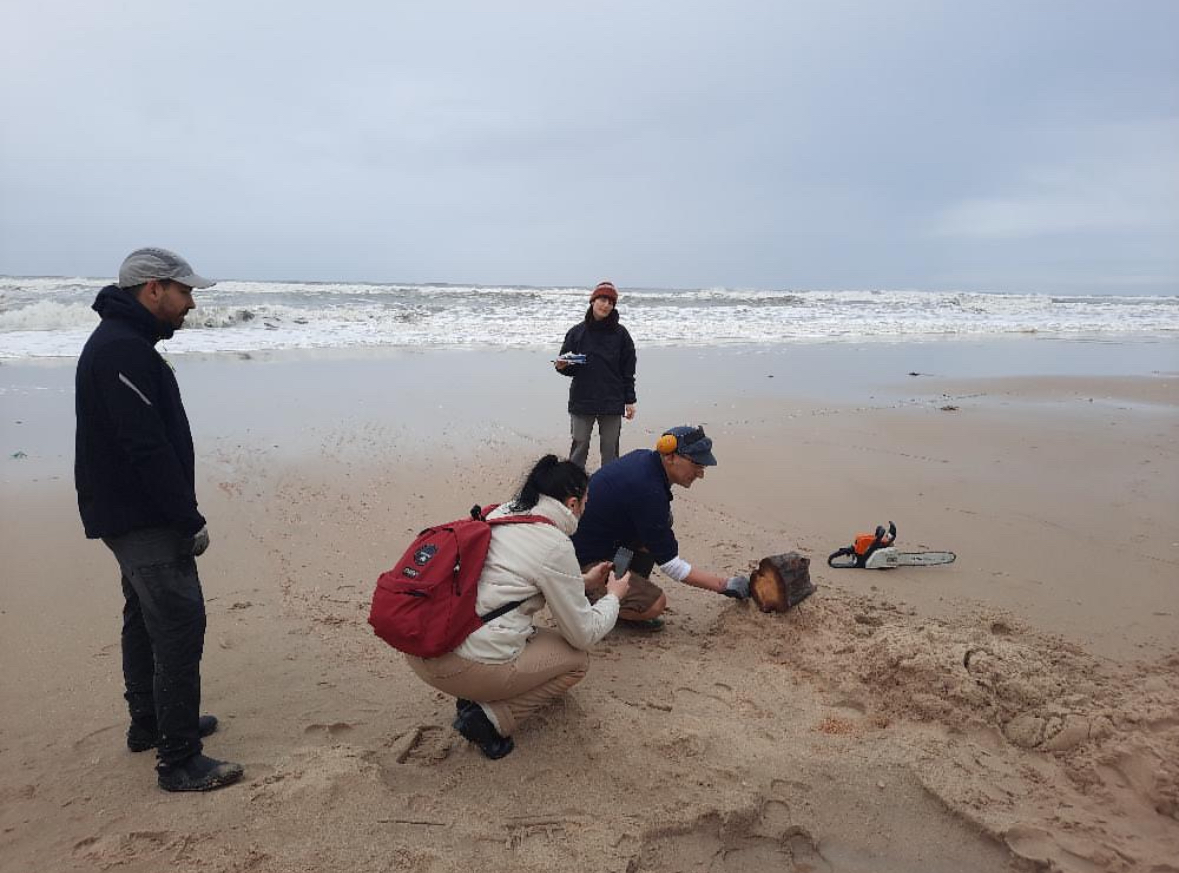 Recording pieces of information about the sample