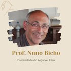 Prof. Nuno Bicho