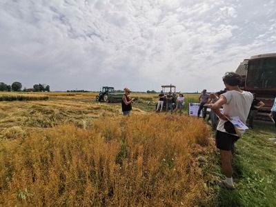 Demo field day