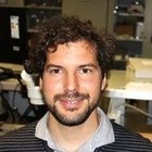 Dr. Andrea Ciavatti