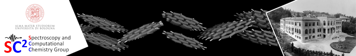 Spectroscopy and Computational Chemistry Group - SC2