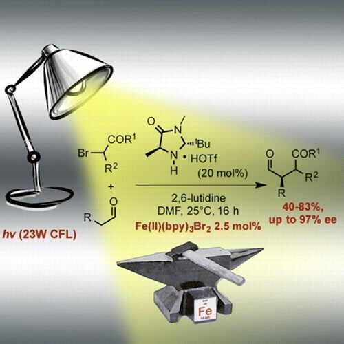 Organocatalytic Enantioselective Alkylation of Aldehydes with [Fe(bpy)3]Br2 Catalyst and Visible Light