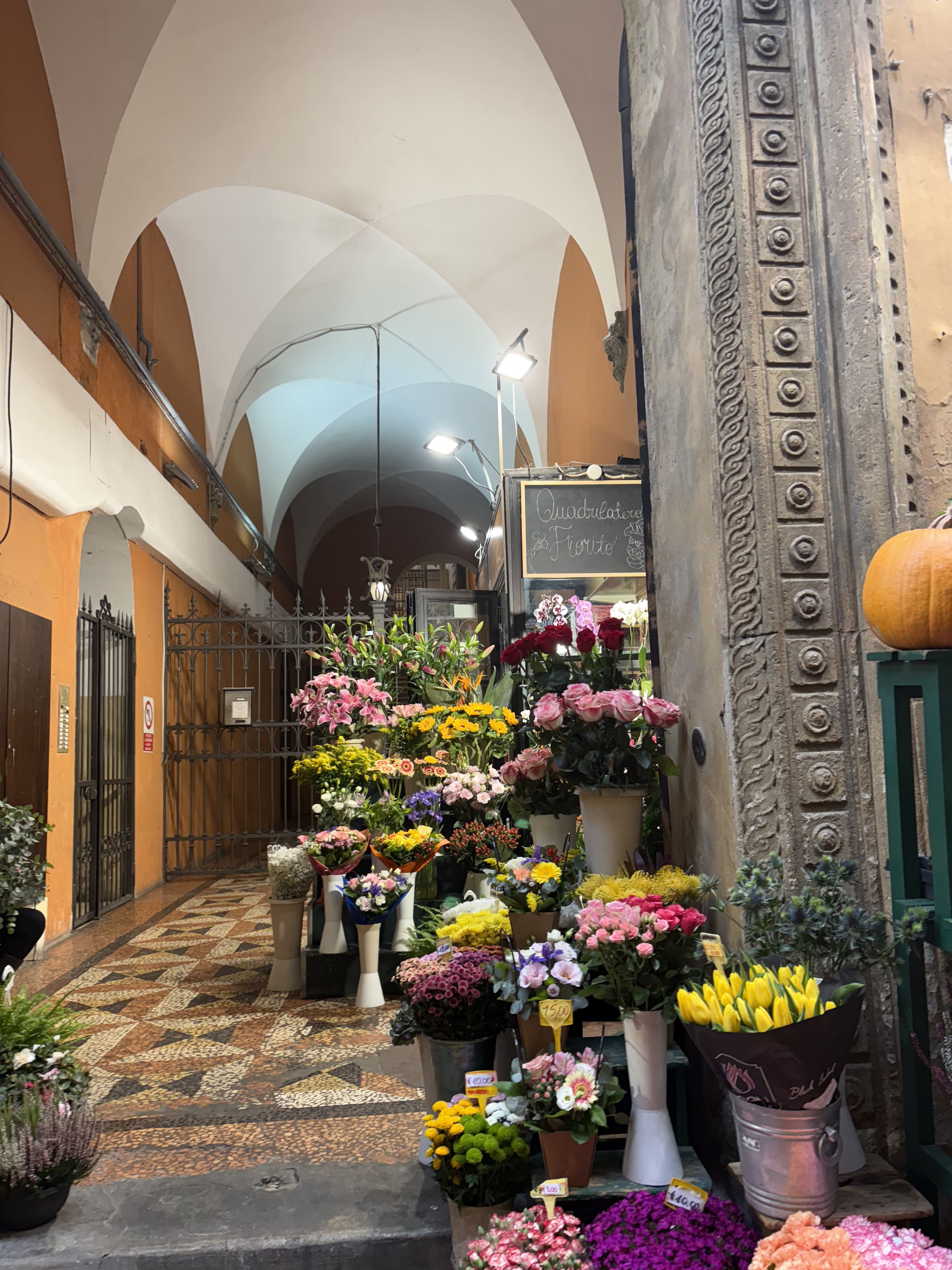 City Tour with Student Ambassadors