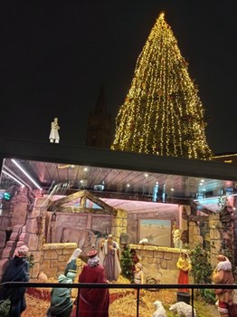 Nativity and Cristmas Tree in Piazza Saffi, Forlì