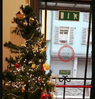 Christmas tree in Ravenna Campus