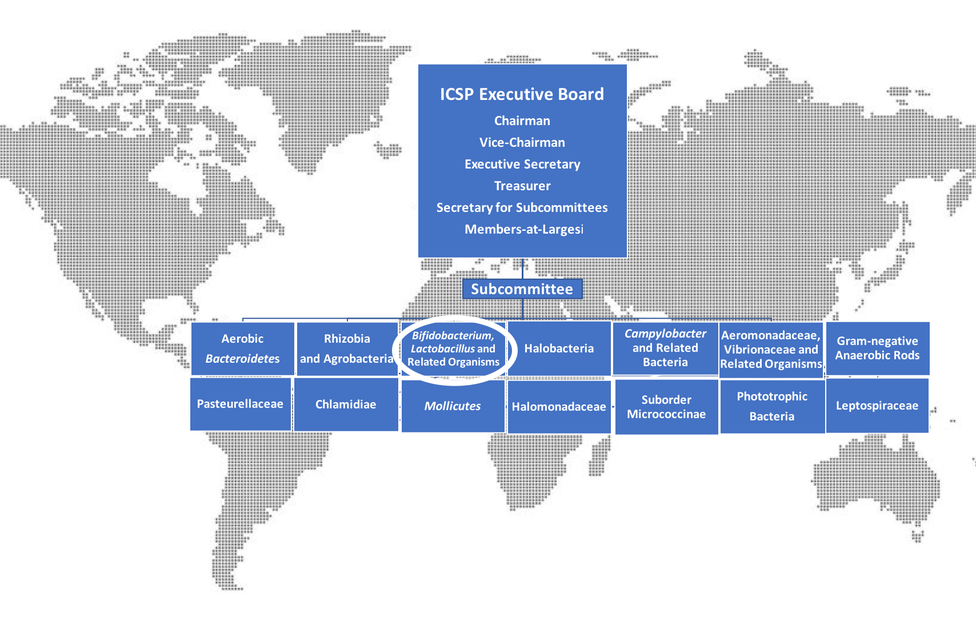 Organizational structure of ICSP