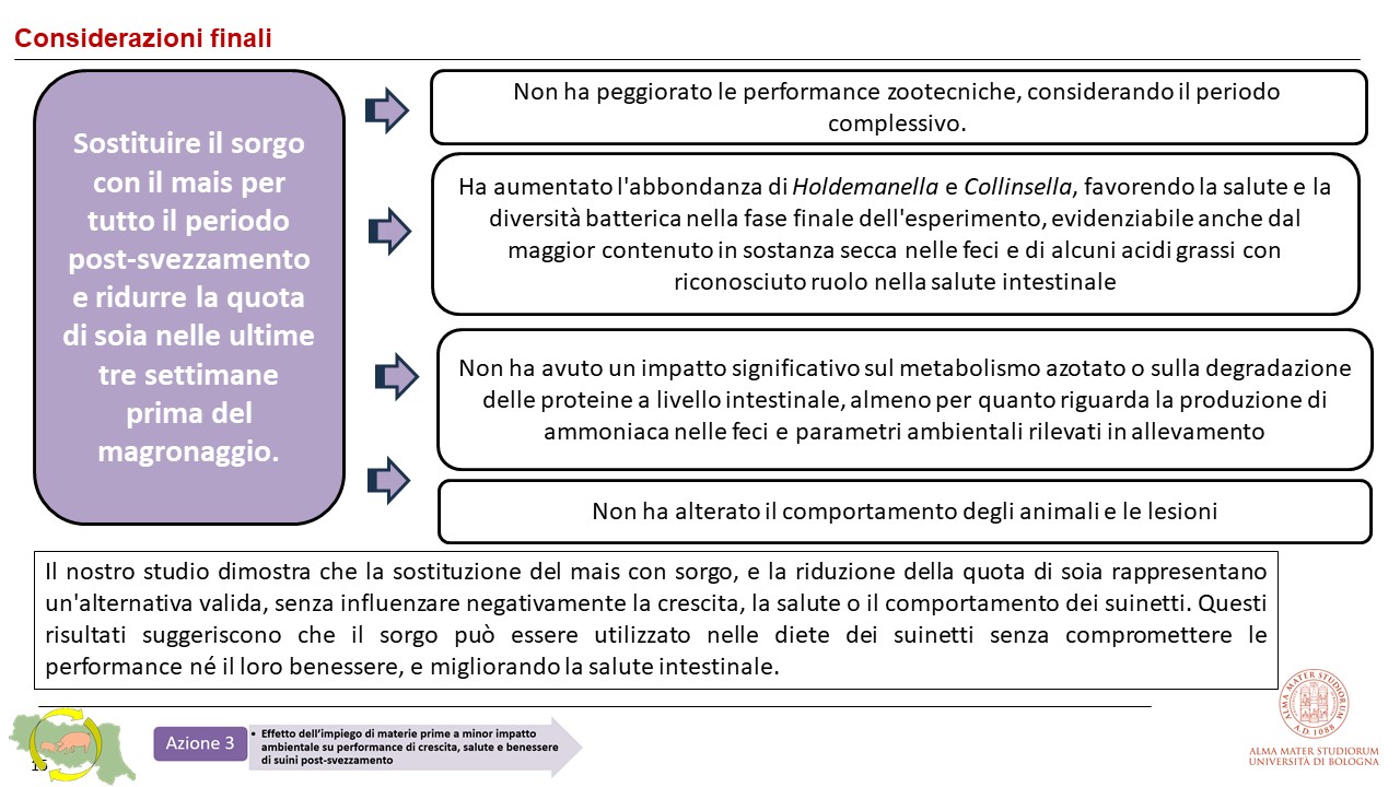Conclusione