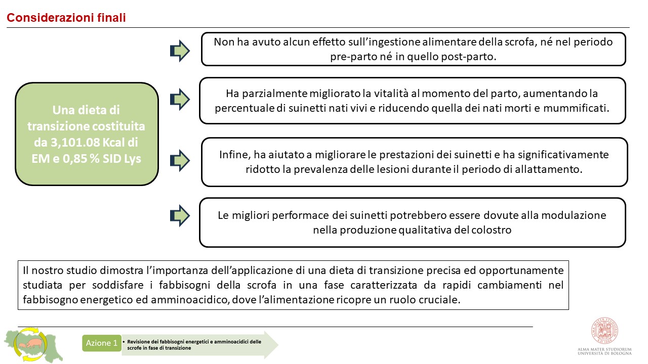 Conclusioni