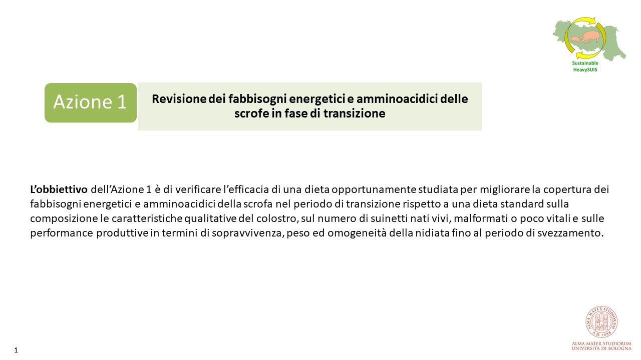 Intrduzione