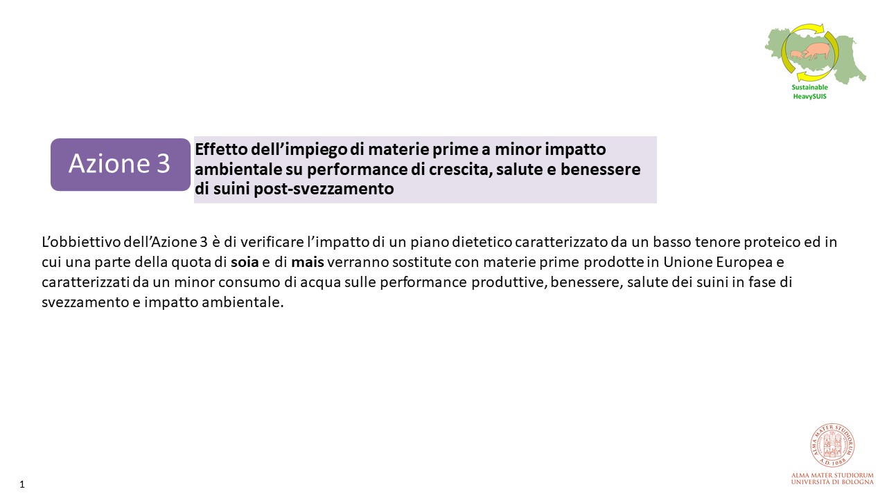 Introduzione