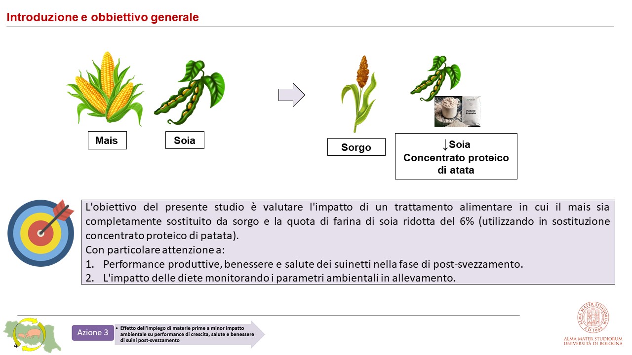 Obbiettivo
