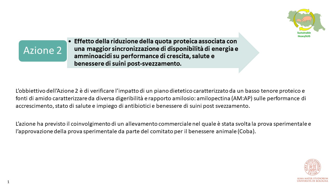 Rsultati Azione 2