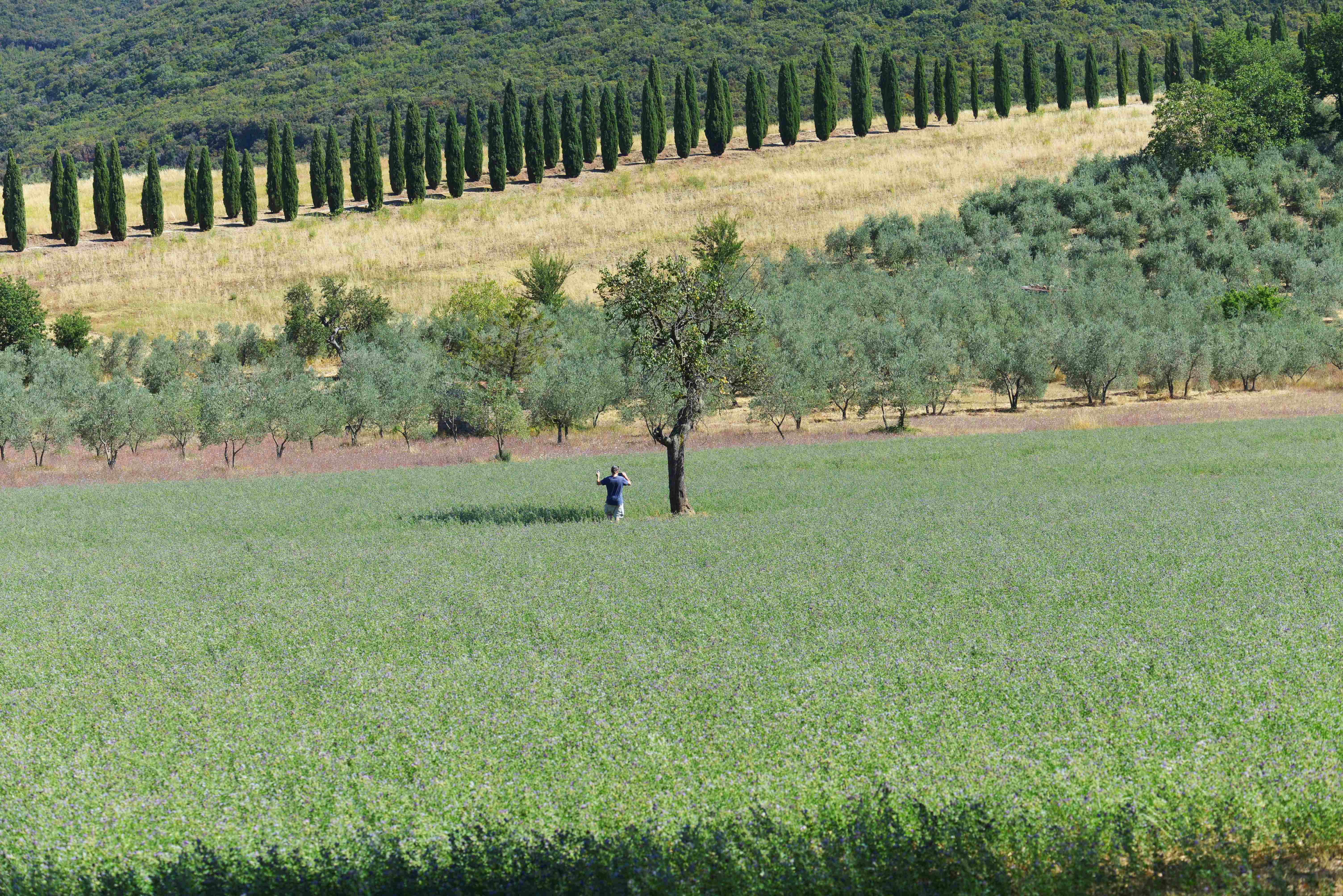 Verdecoprente Residenze/Festival