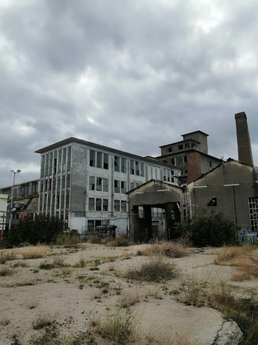 The Ladopolous makeshift camp