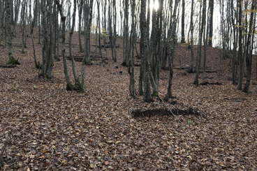 Velika Kladuša: remnants of an abandoned “Bangladeshi jungle”