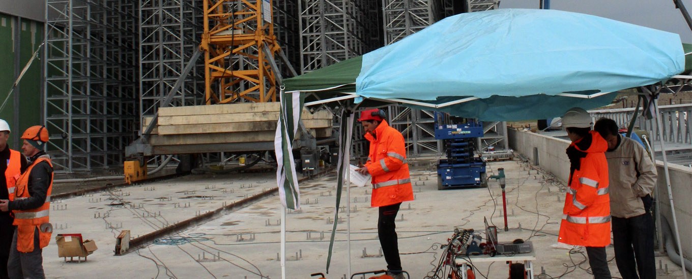 Il gigante che vibra