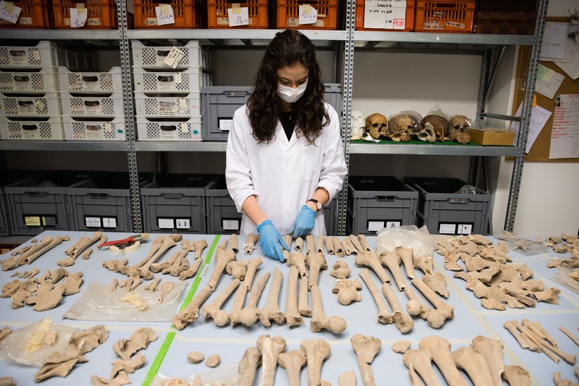 Bones Lab