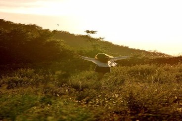 Oltre la violenza: genere, diritti e relazioni