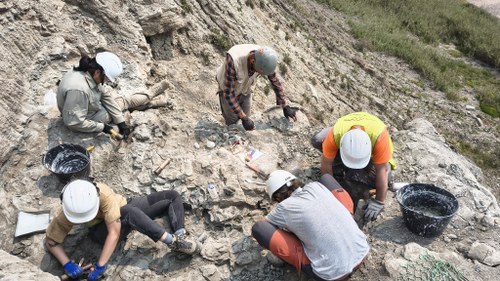 Jurassic Horizons FantiLab