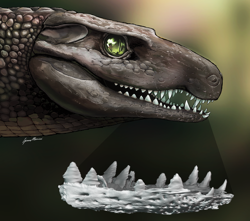 A life rendition of Doratodon, with a highlight on available material from Villaggio del Pescatore. Artwork by Simone Muscioni.