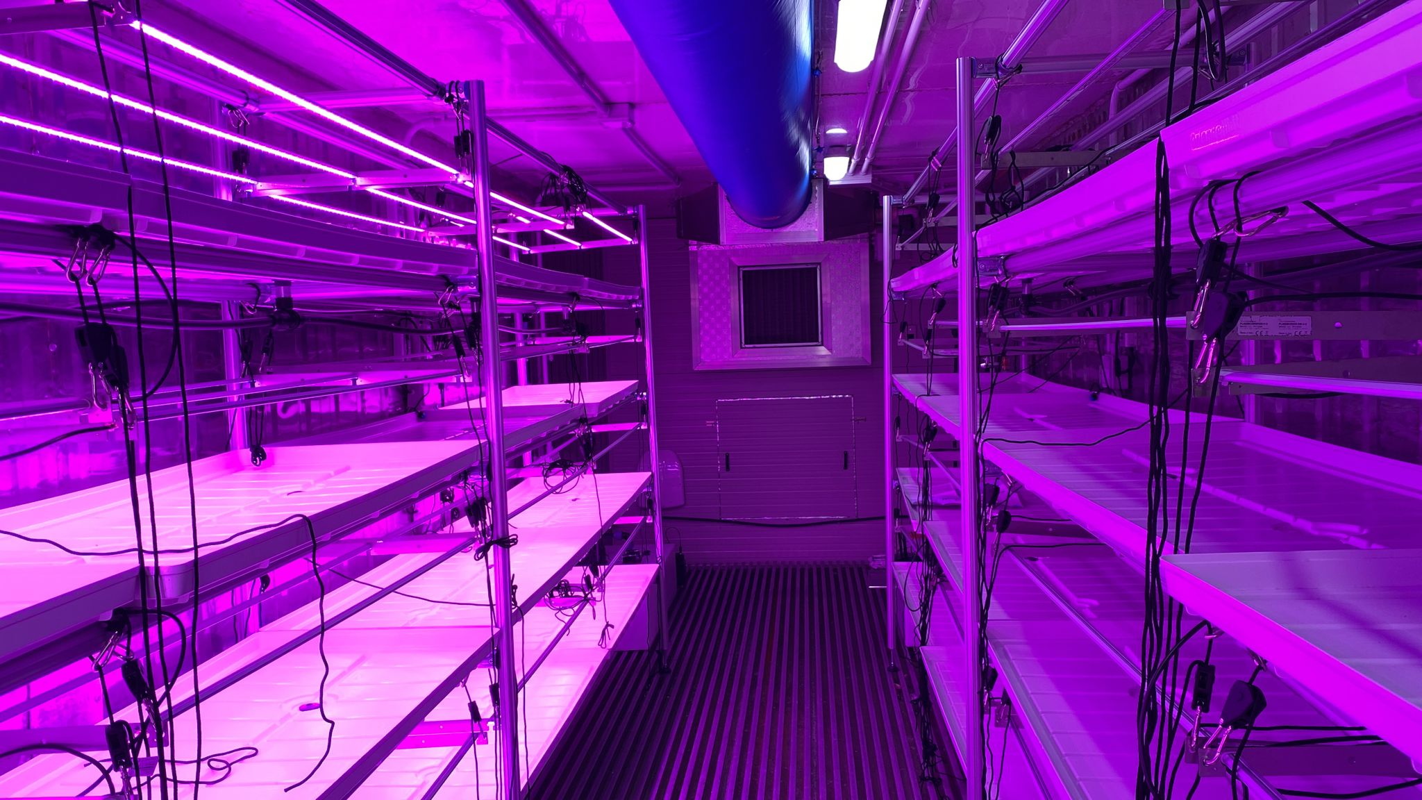Inside the container farm