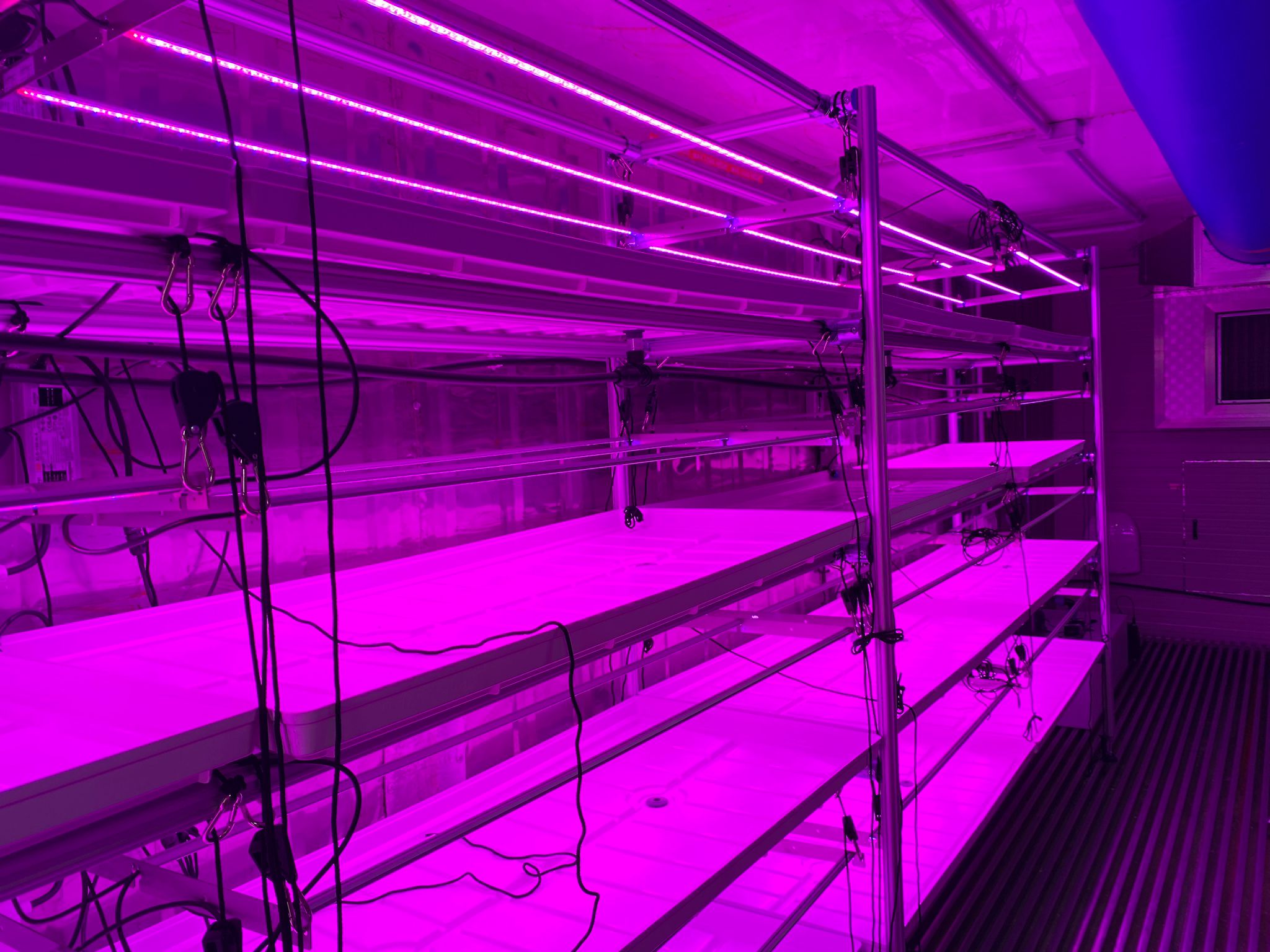 Interno del container farm