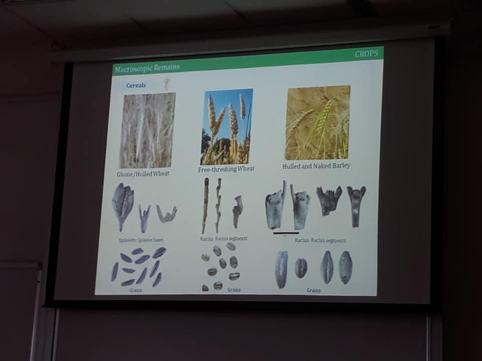 LECTURE ON ARCHAEOBOTANY 1